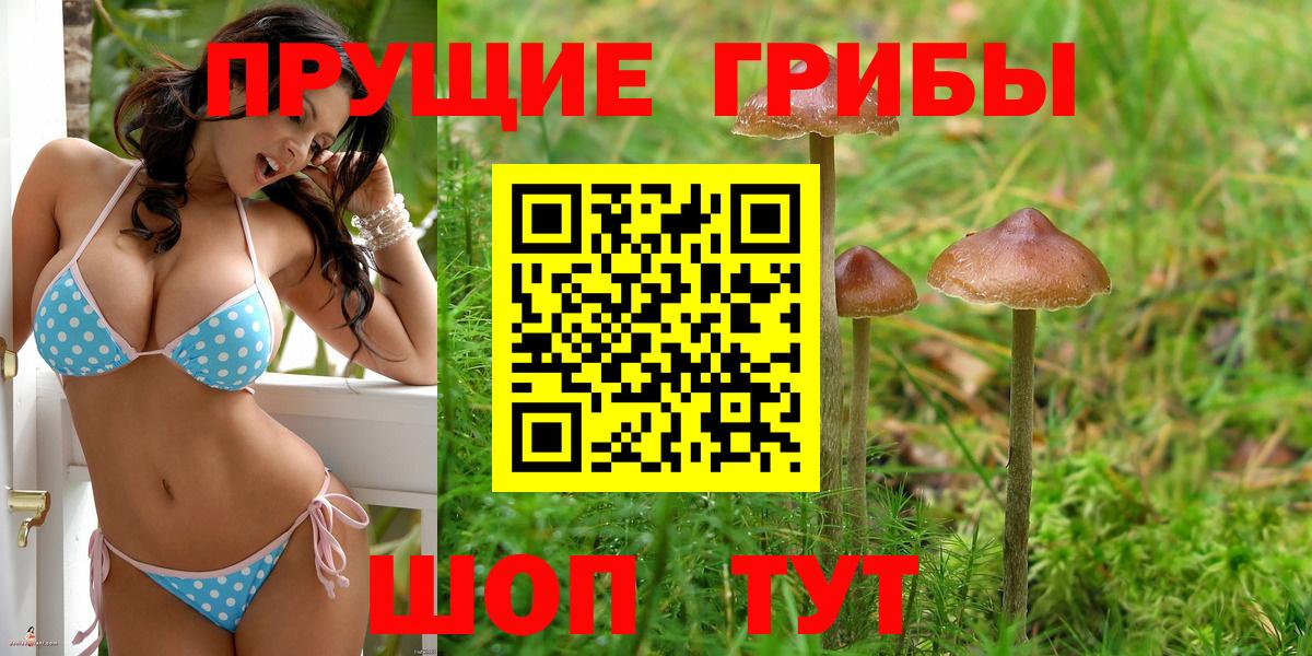 Псилоцибиновые грибы ЛСД Строитель