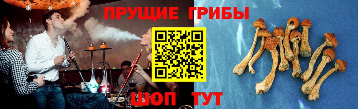 купить   Галлюциногенные грибы прущие грибы  Вход с VPN  Строитель  Псилоцибиновые грибы прущие грибы 